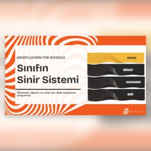Sınıfın Sinir Sistemi — Öğretmenler İçin Program (Kurucu Grup)
